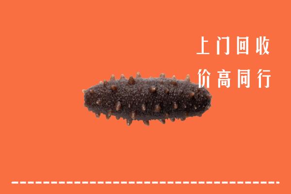 高价求购：成都市彭州回收海参