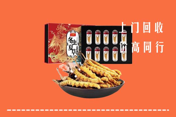 成都市彭州回收虫草